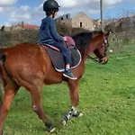 Treguas D'inverno I