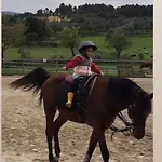 Treguas D'inverno I