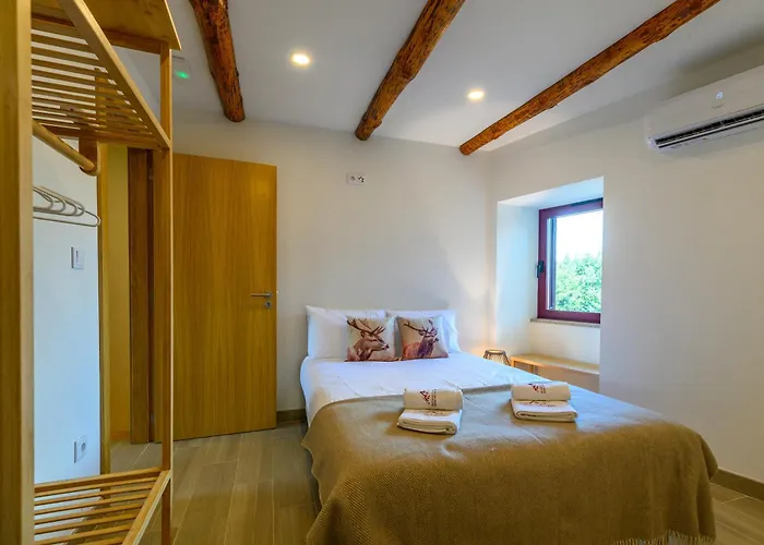 Treguas D'inverno I Seia