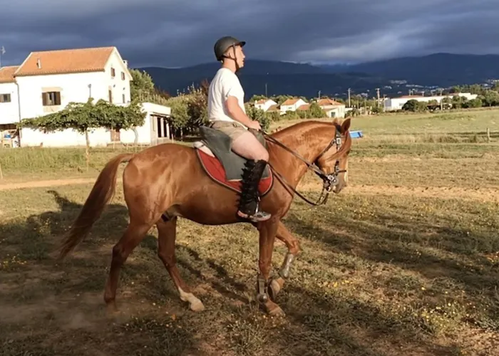 Vakantiehuis Treguas D'inverno I *